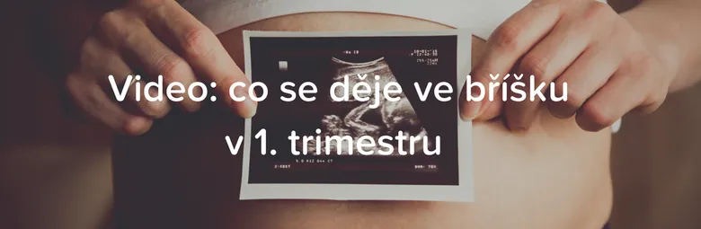 Těhotná žena drží ultrazvukový snímek na svém břiše.